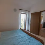 In 33607